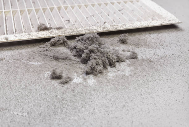 Best Affordable HVAC Duct Cleaning  in Sisseton, SD