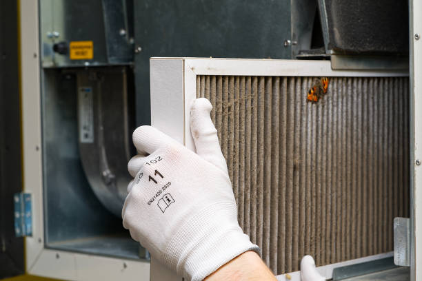 Best Dryer Vent Cleaning Services  in Sisseton, SD